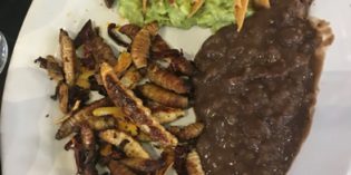 Huge maggots and scorpion – a unique experience: Restaurant La Casa de los Tacos (20. August 2018)
