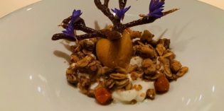 Delicious 1 Michelin star dinner with exquisite service: Gourmetrestaurant OLIVO (17. December 2019)